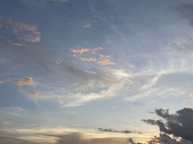 MIA_2023-08-12 20-02-01_DANI_IMG_5244